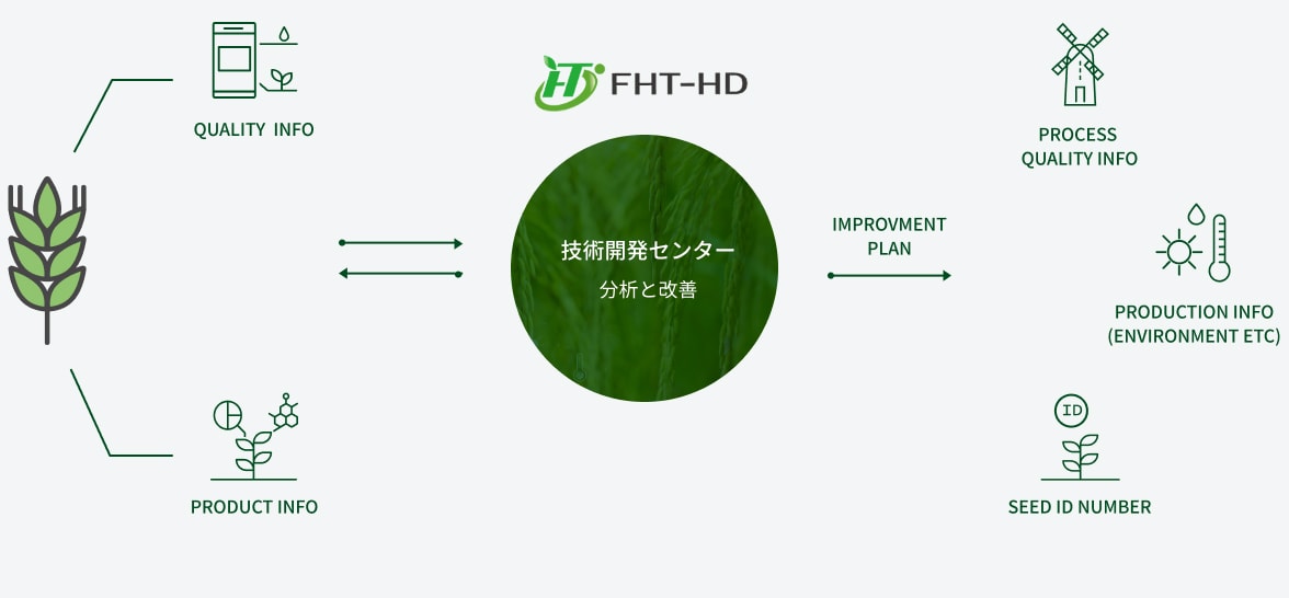 トレース&フィードバックによるソルガム品質&プロセス改善