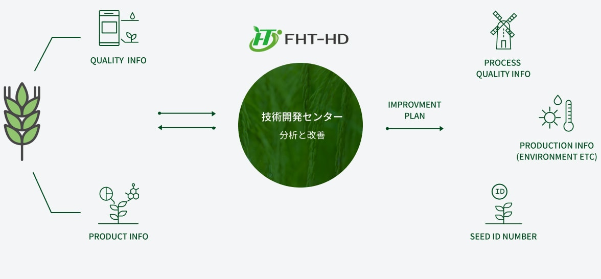 トレース＆フィードバックによるソルガム品質＆プロセス改善